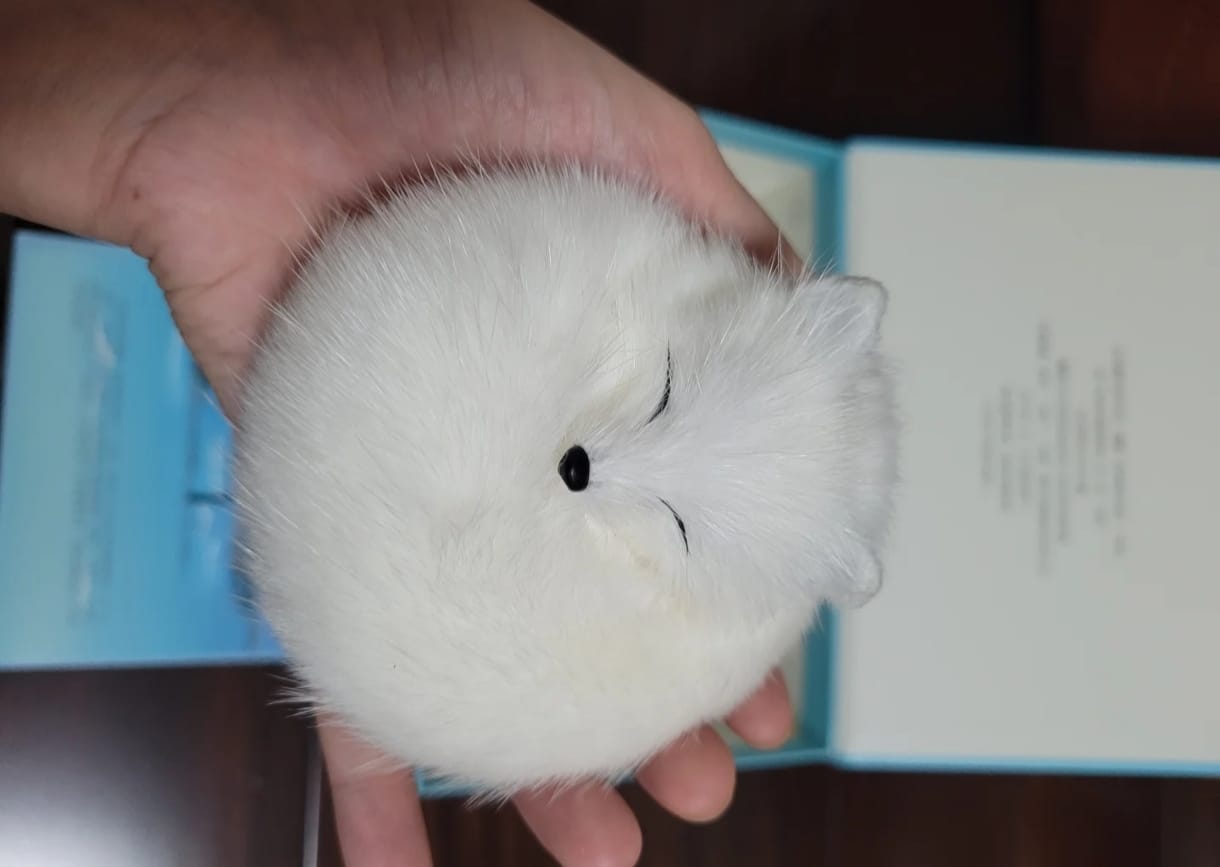 White Spirit Fox Plush – 10cm Fantasy Guardian - Image 2